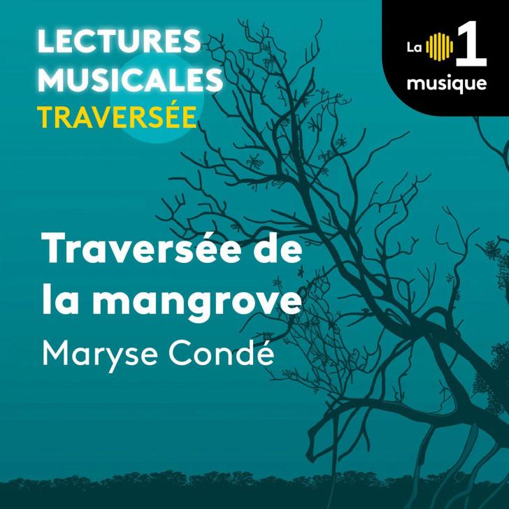 « Traversée de la mangrove » de Maryse Condé